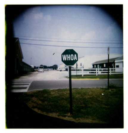 54834bc85415f82f9aee03ea23785450c98b27ed_m