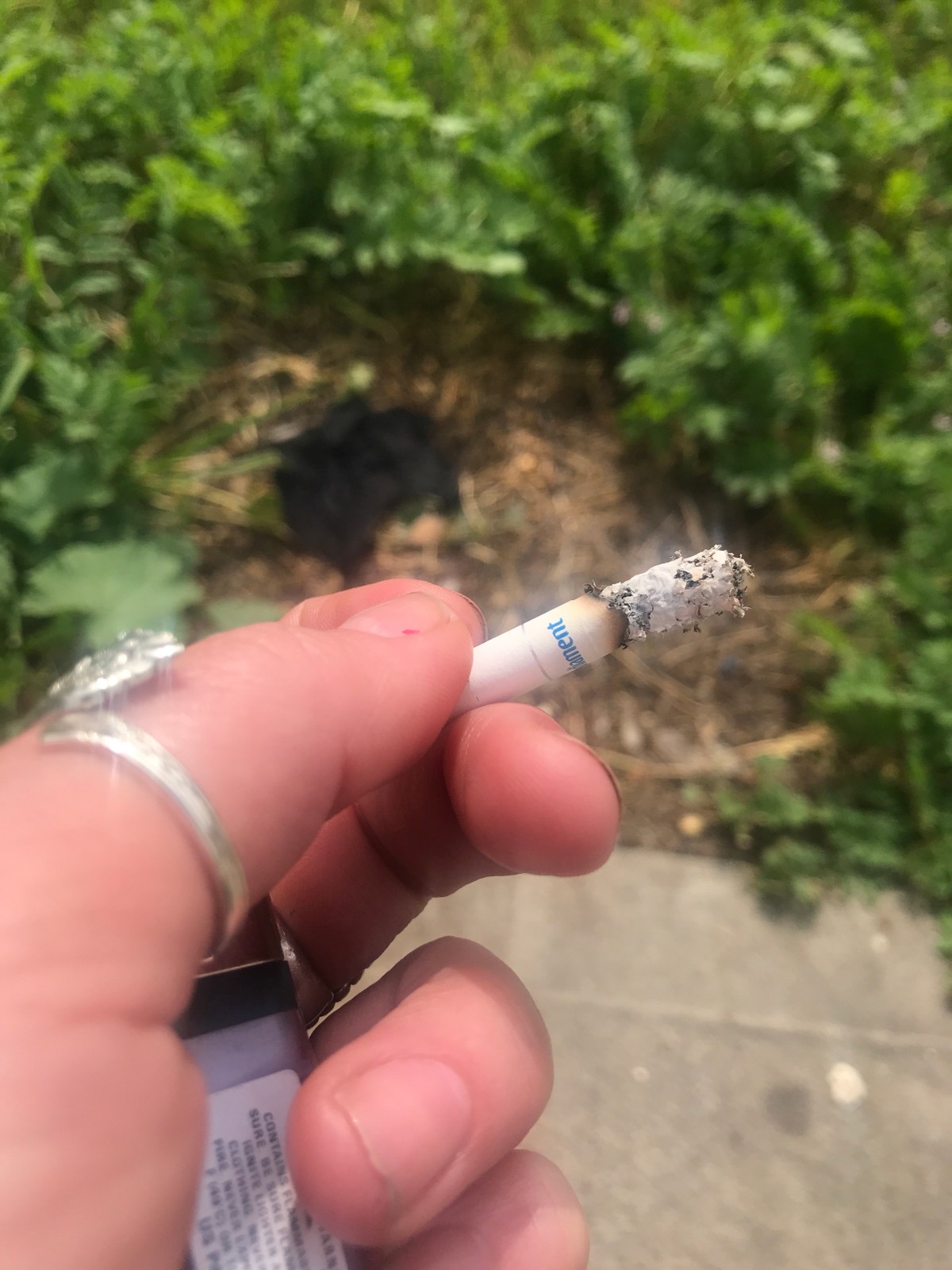 All things must&nbsp;die